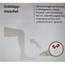 Grünlippmuschel Зеленые мидии для лечения суставов, связок, 300 шт